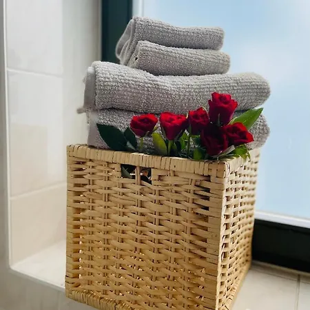 Apartament Downtown 4u *