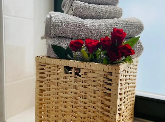 Apartament Downtown 4u *